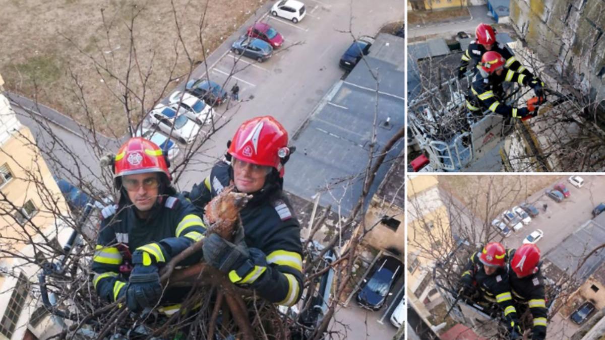 copac bloc giurgiu pompieri