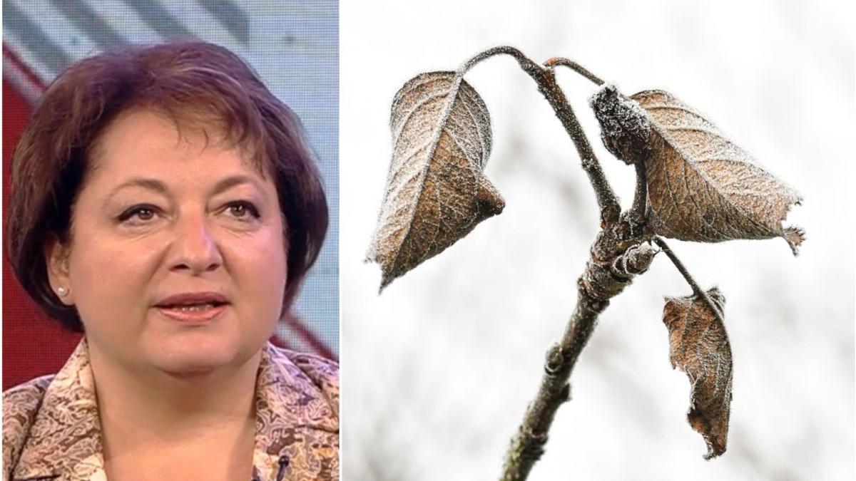 vreme schimbatoare modificari importante 2 3 zile florinela georgescu director anm anomalii vreme