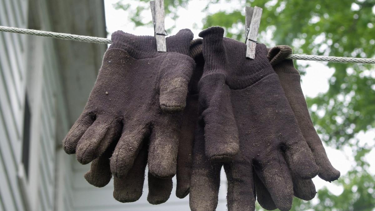 angajari fabrica noua romania bihor