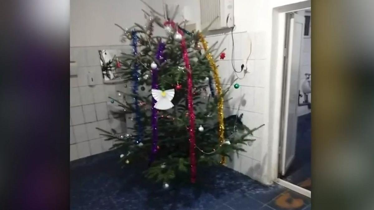 brad craciun instalat toaleta publica gorj