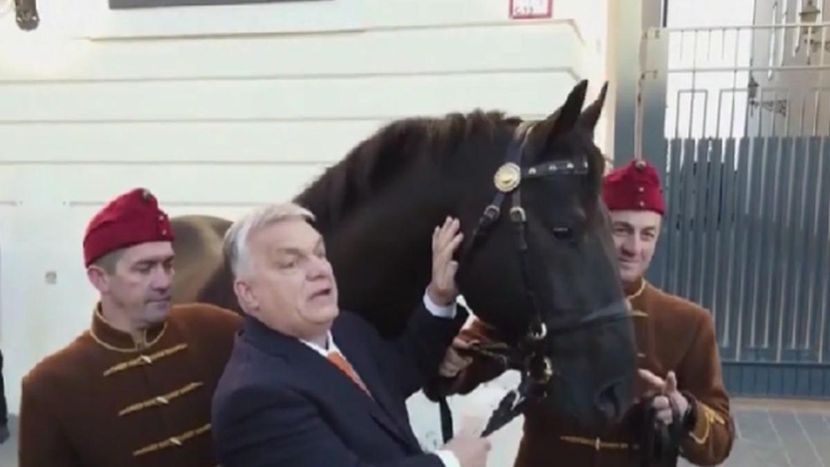 cal cadou viktor orban recep tayyp erdogan budapesta cazut cal 2003 cal cadou viktor orban recep tayyp erdogan budapesta cazut cal 2003