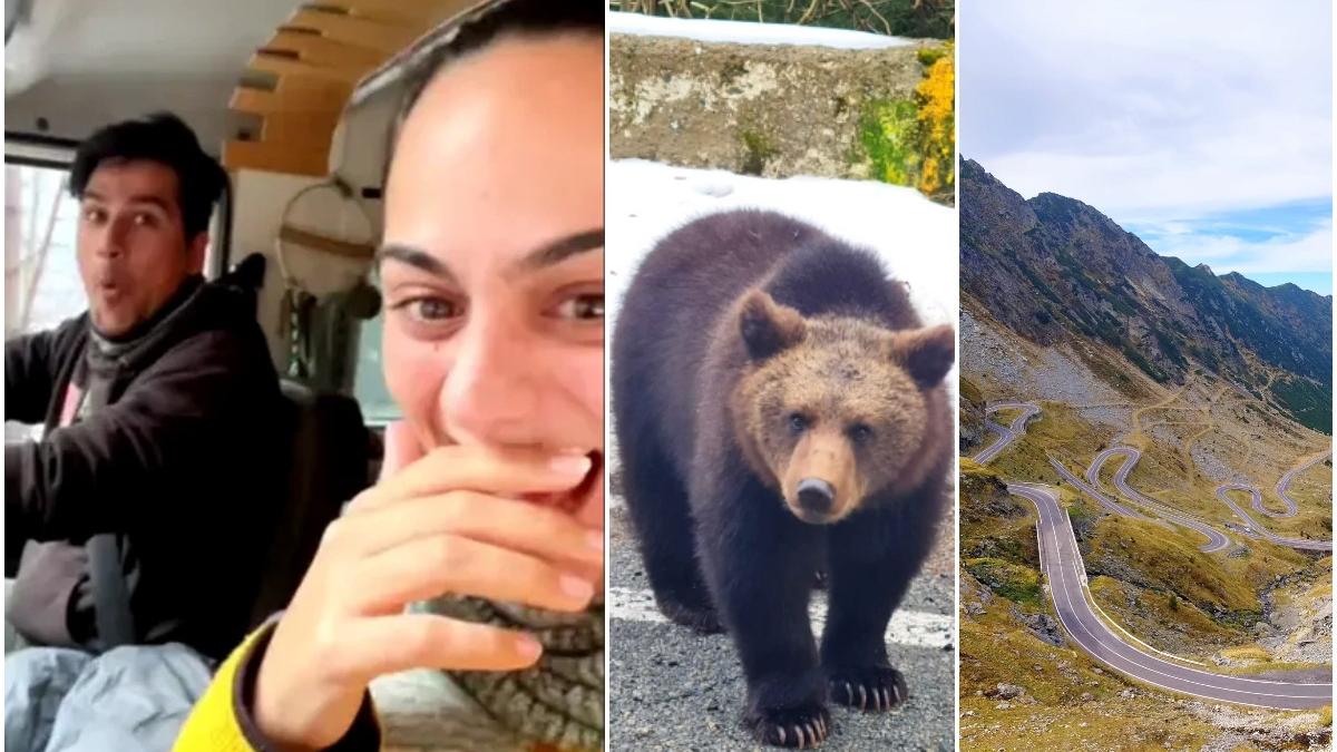 reactie cuplu spanioli transfagarasan