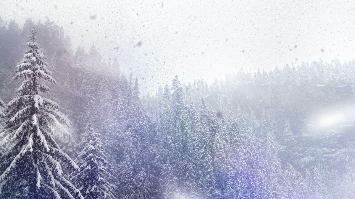 vremea weekend frig ploi ninsori