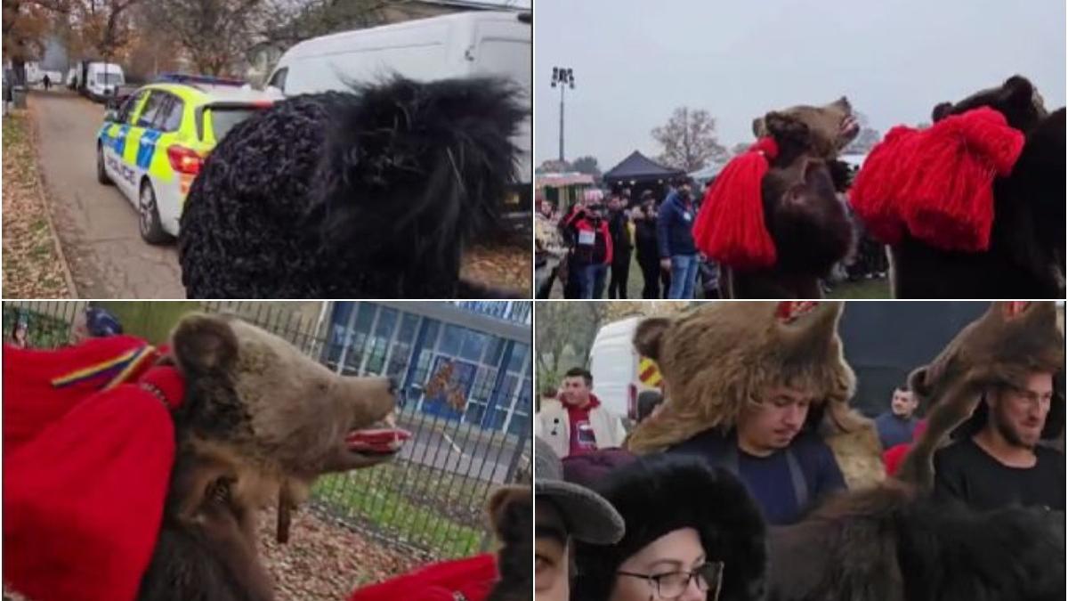 noi plecam tara romani defilat blana urs londra atentia politiei