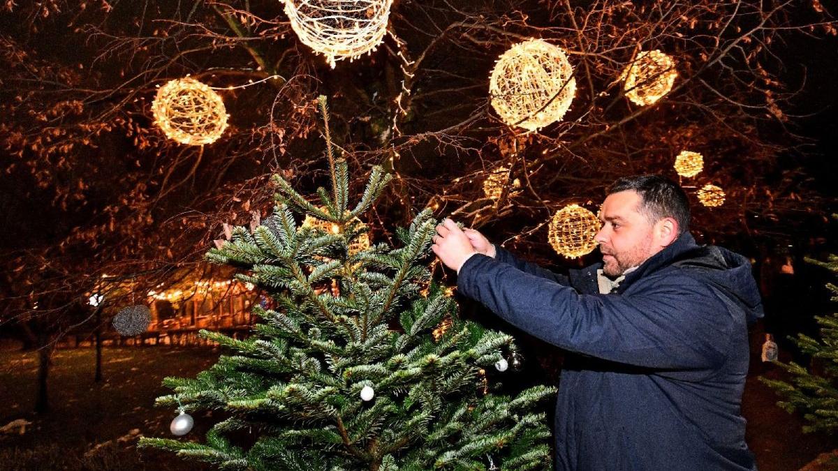 targ craciun sect 6 duminica ora 8 tv