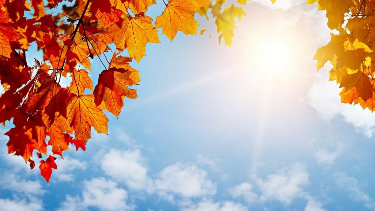 temperaturi 17 grade craciun bucuresti prognoza meteo anm