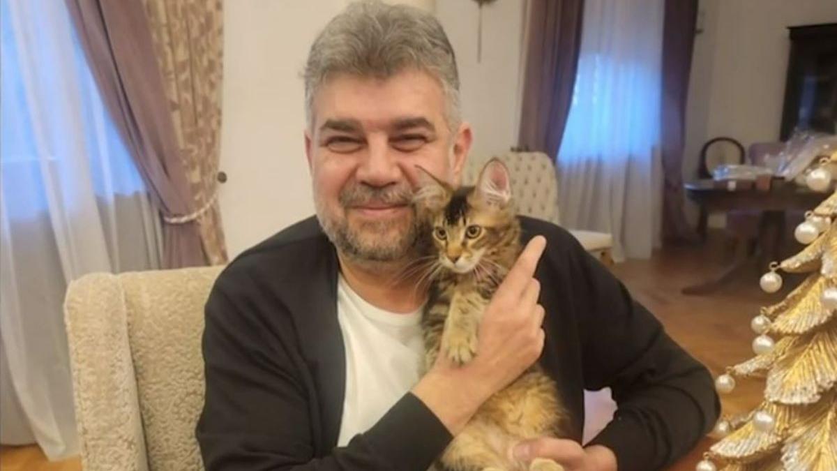 marcel ciolacu cadou pisica craciun mihai tudose