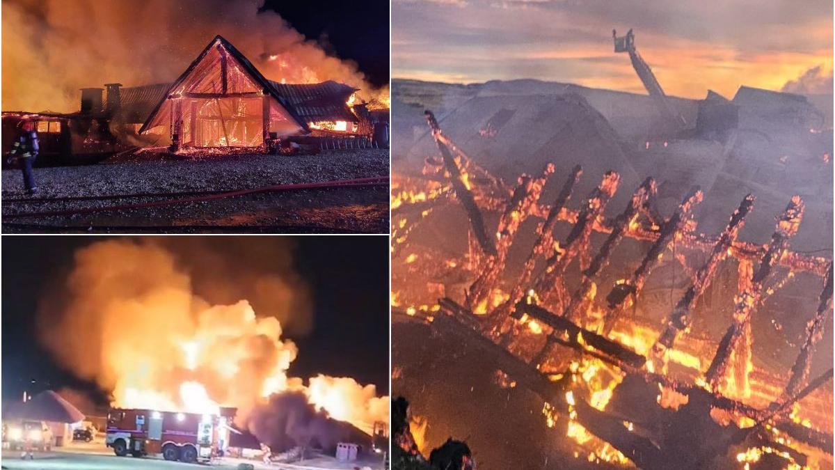 marturie exclusiva supravietuitoare tragedie ferma dacilor dezvaluiri incredibile