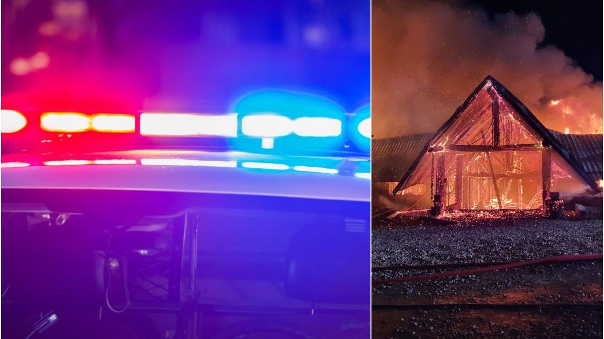 politisti snppc 20 reducere ferma dacilor