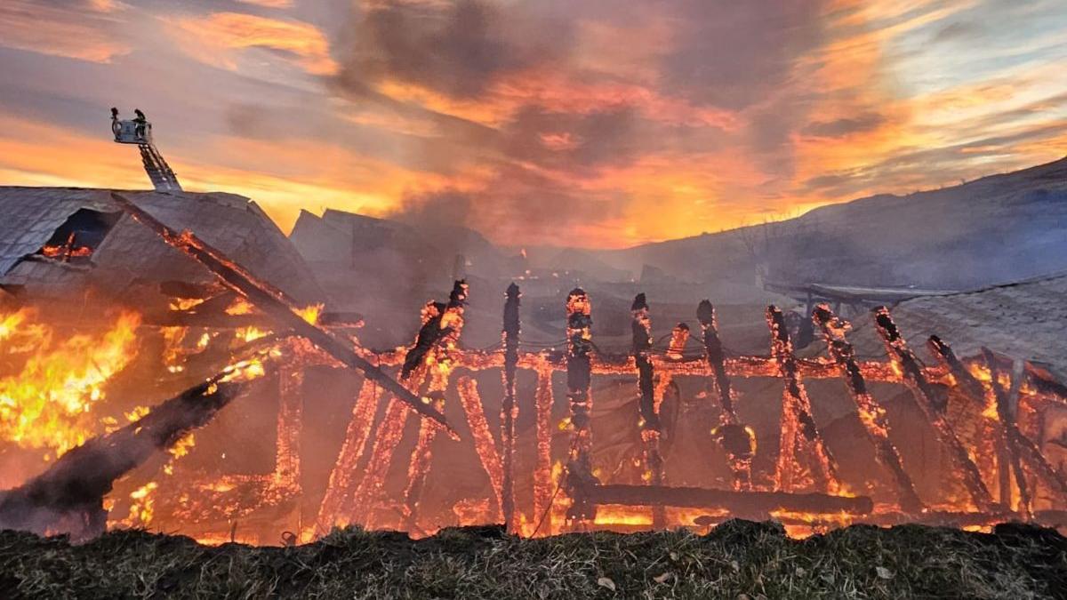 sedinta mai incendiu pensiune ferma dacilor sef dsu toleranta zero