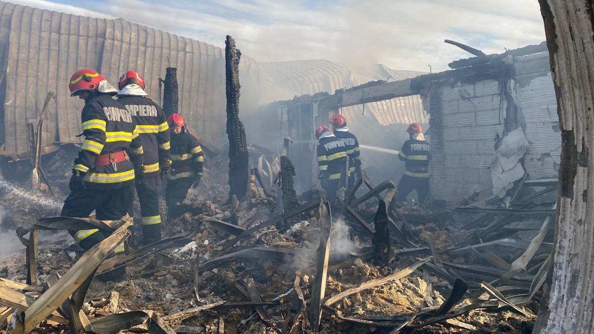 fragmente osoase gasite cenusa incendiu ferma dacilor expertiza