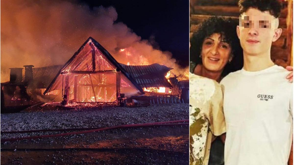 luca geaman vii dupa mine tata nu vad viata fara tine mesaj matei supravietuitor ferma dacilor