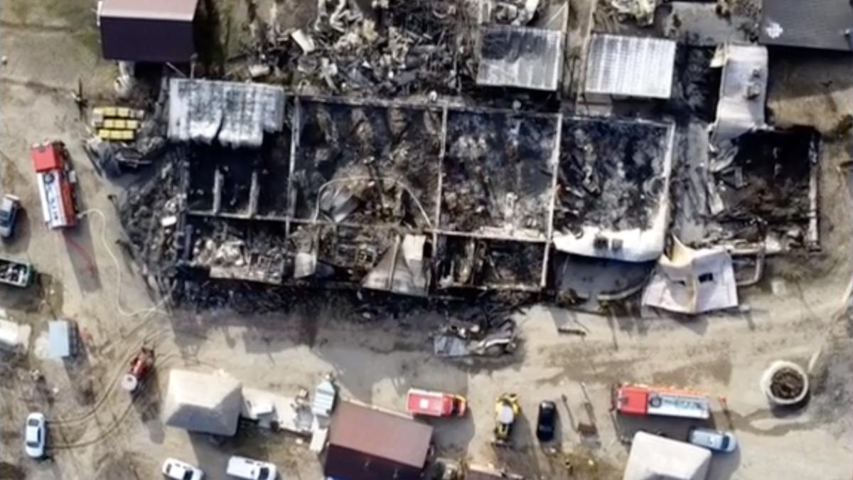 document patron ferma dacilor protejat inspectori isu prahova