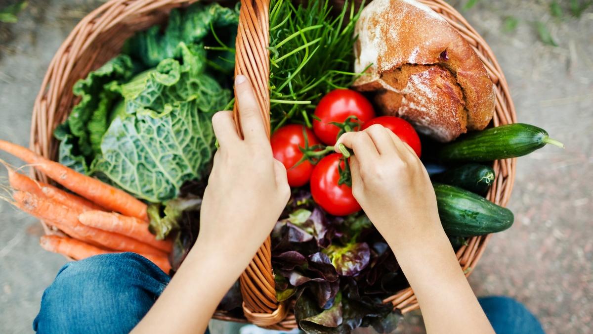 premiera nationala primarie alba romania probe fabrica de prelucrare legume fonduri europene