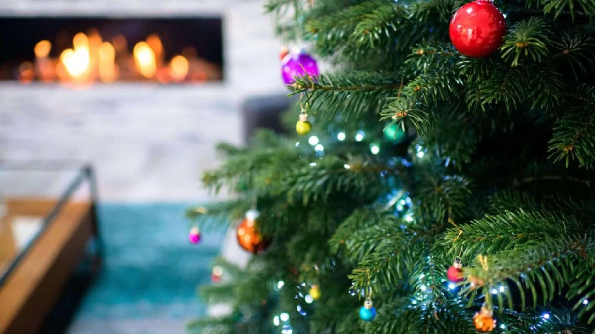 cand despodobim bradul de craciun