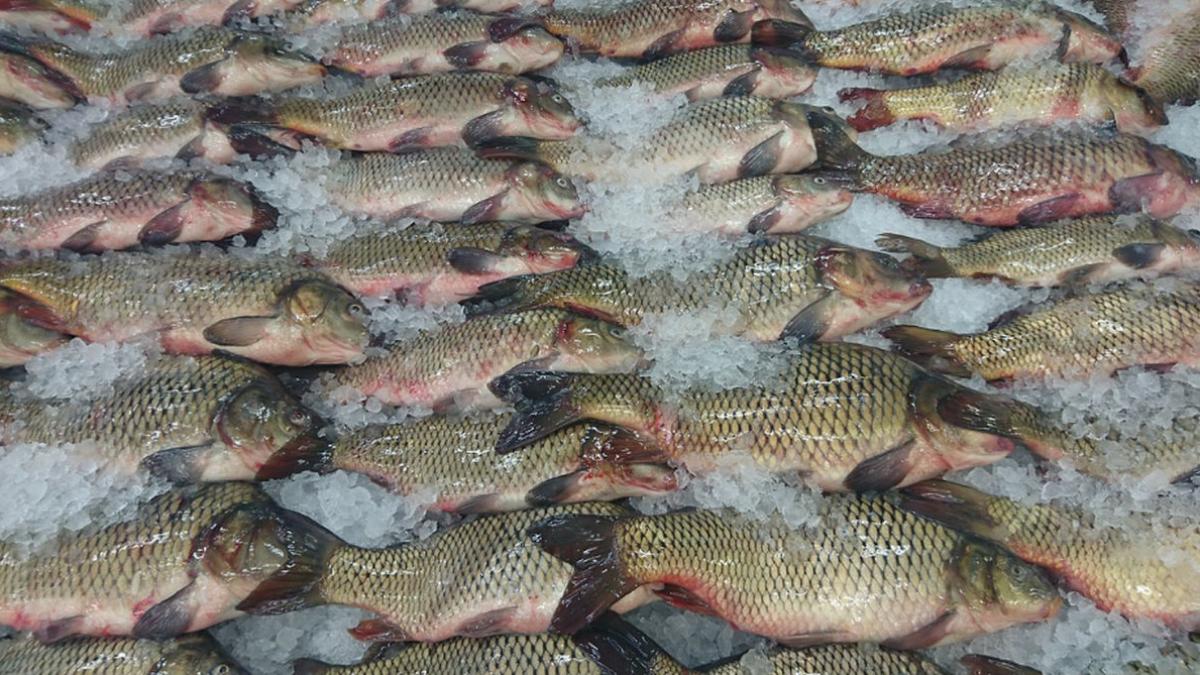 peste intoxicatie mercur tudor ciuhodaru