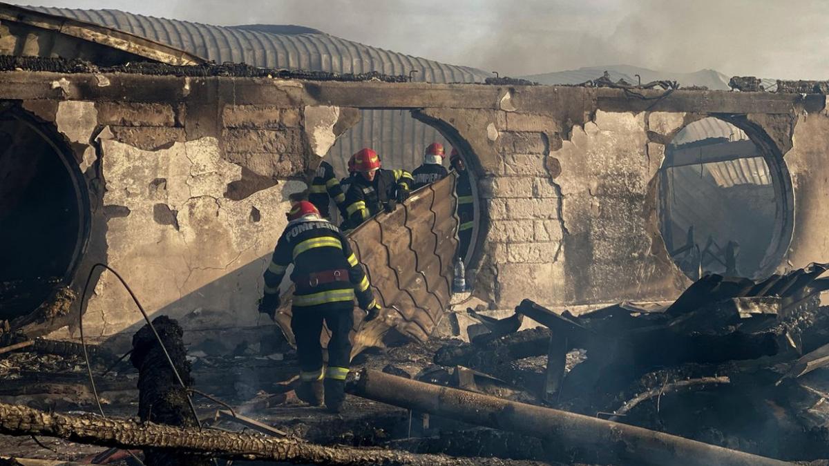 trei ipoteze anchetatori incendiu ferma dacilor