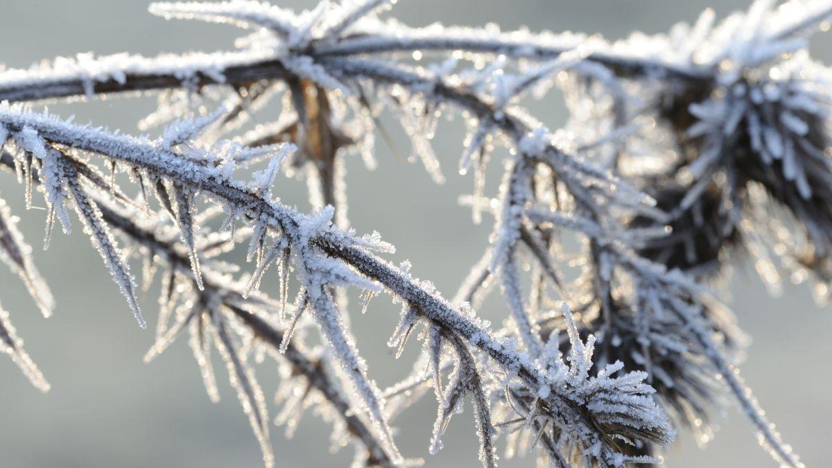 avertizare meteo anm ninsori viscol cod galben