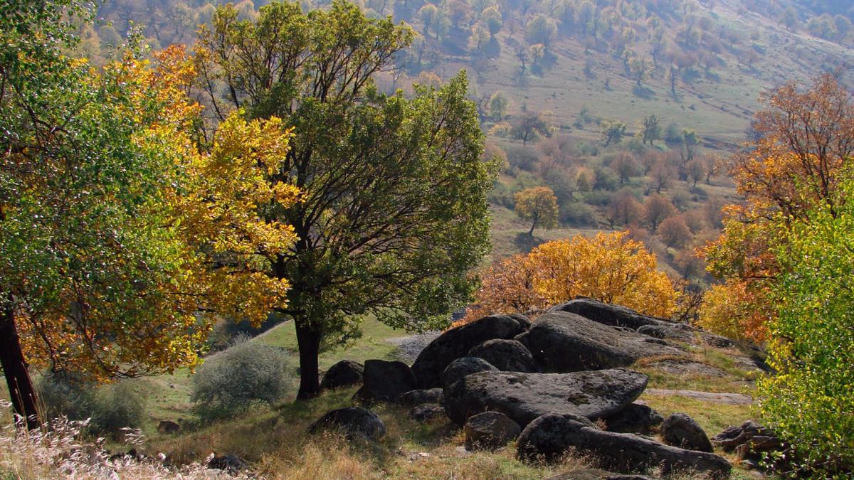 parcul national muntii macinului parc turisti vizitatori