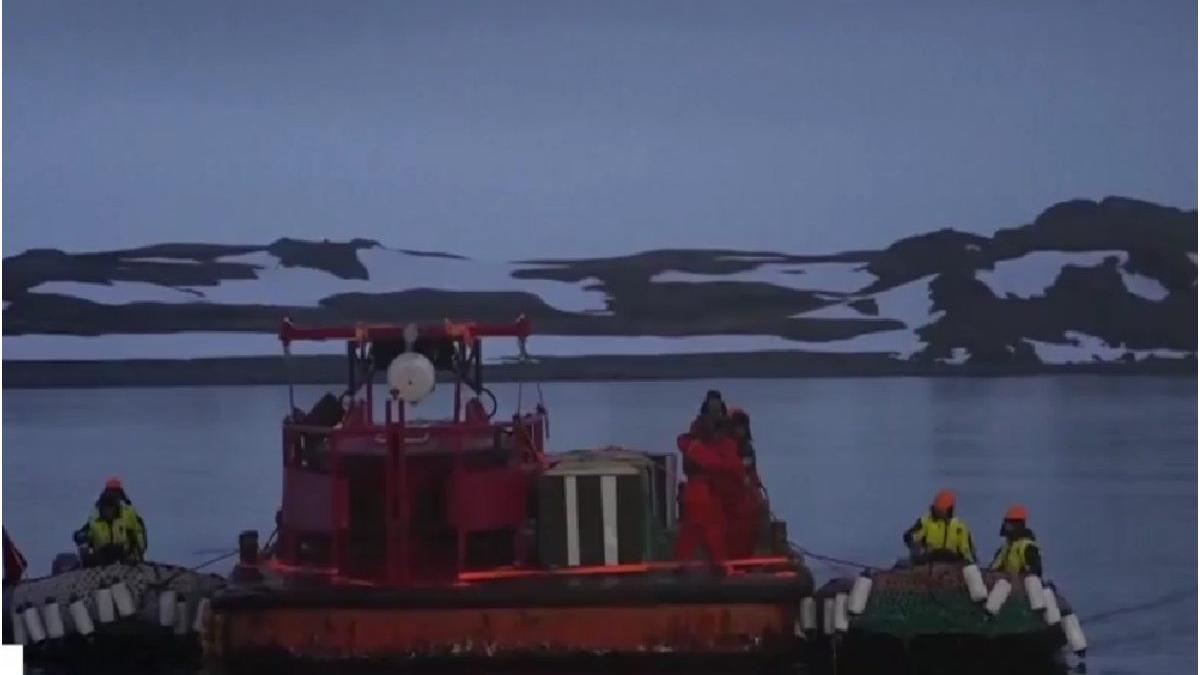 barja plina azot scufundat dunare biolog marin