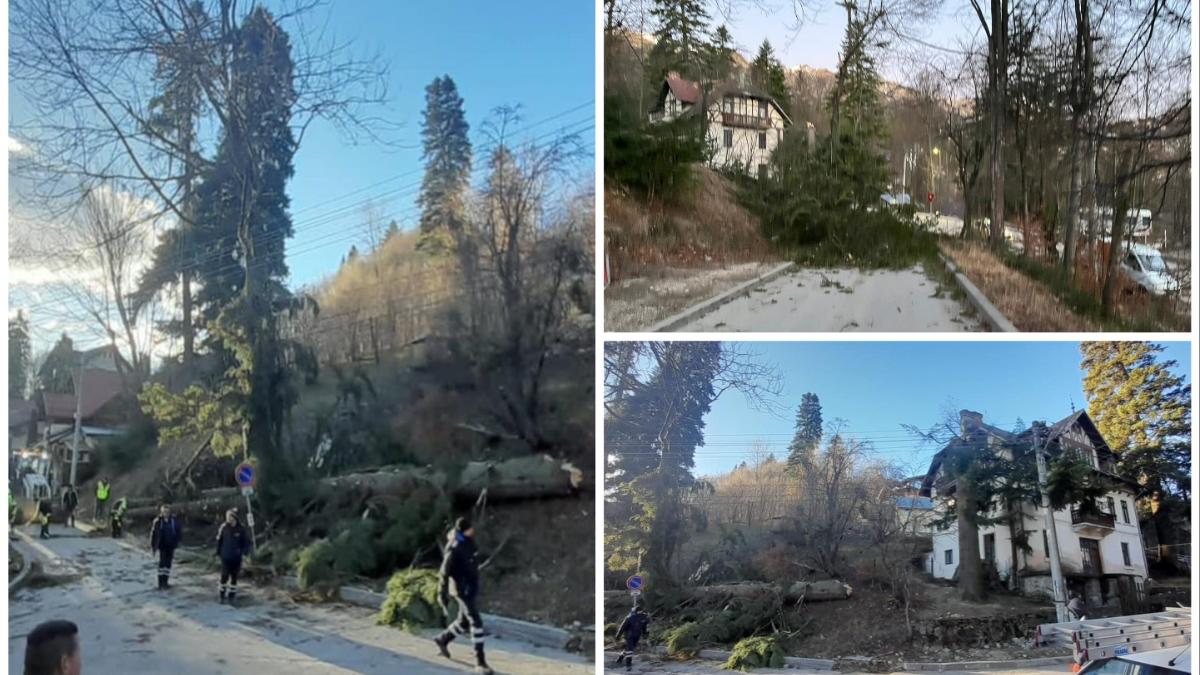 vant sinaia curent electric stalpi cazuti