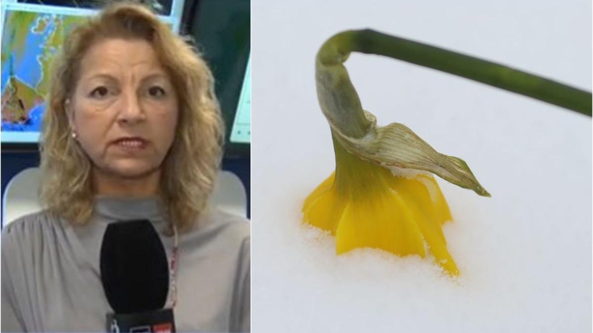 vortex polar loveste romania alina serban anm episod iarna autentic