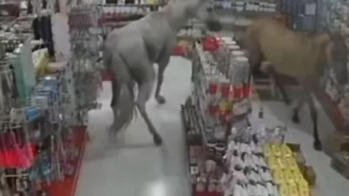 cai farmacie camera supraveghere viral internet