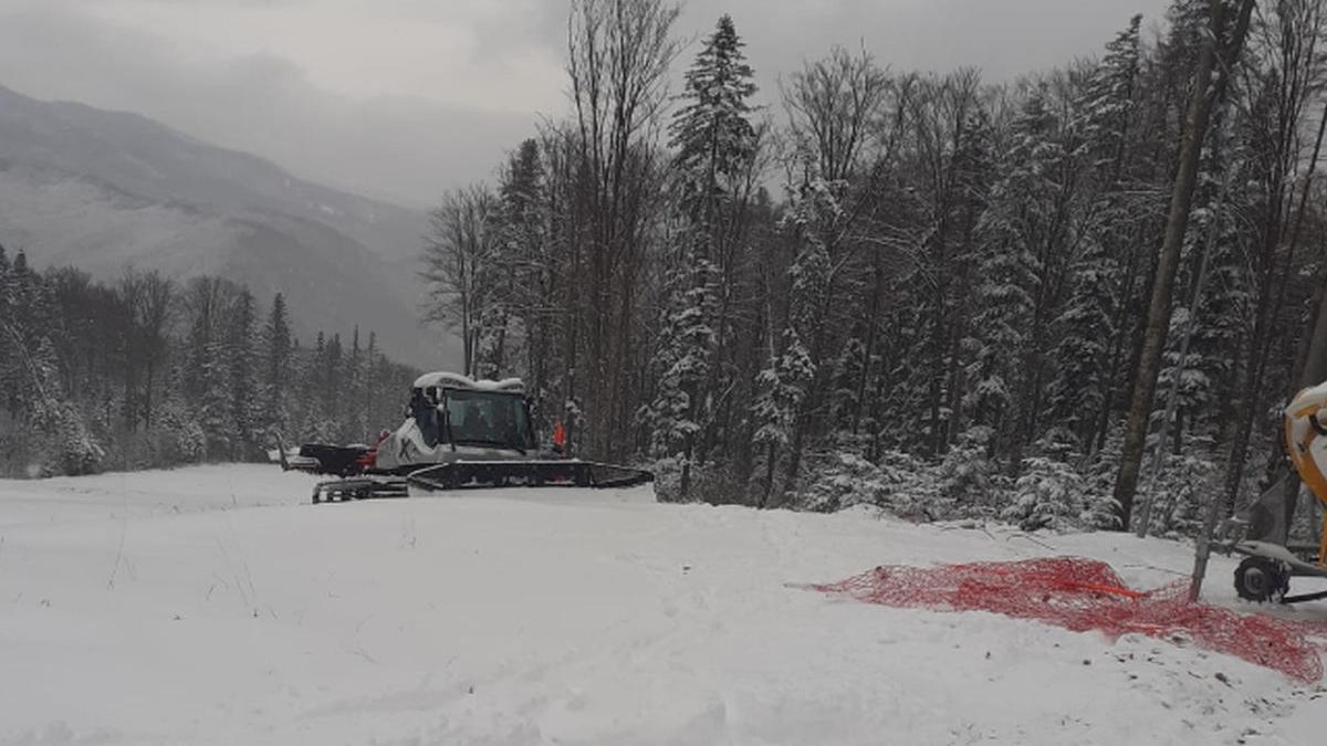 partia nemira slanic moldova bacau tarife