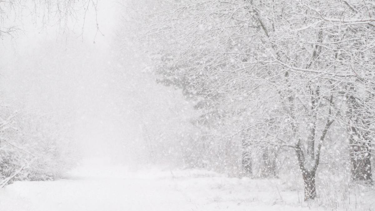vremea se inrautateste florinela georgescu prognoza meteo