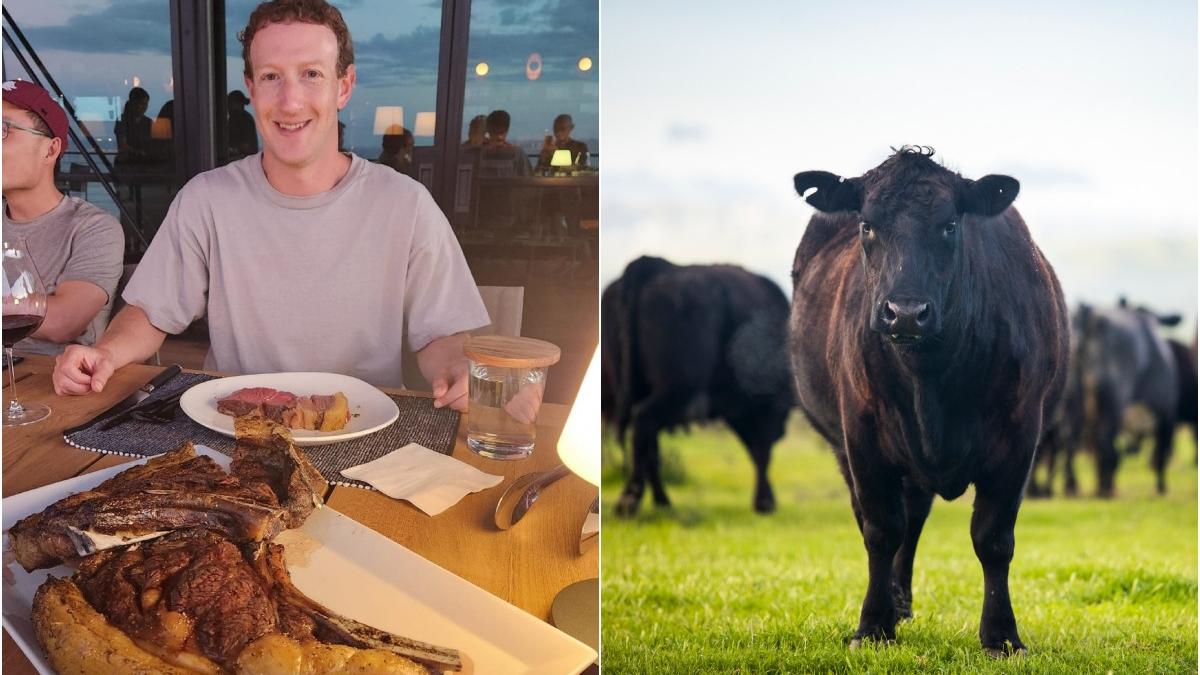 mark zuckerberg fondator facebook fermier proiect delicios vaci