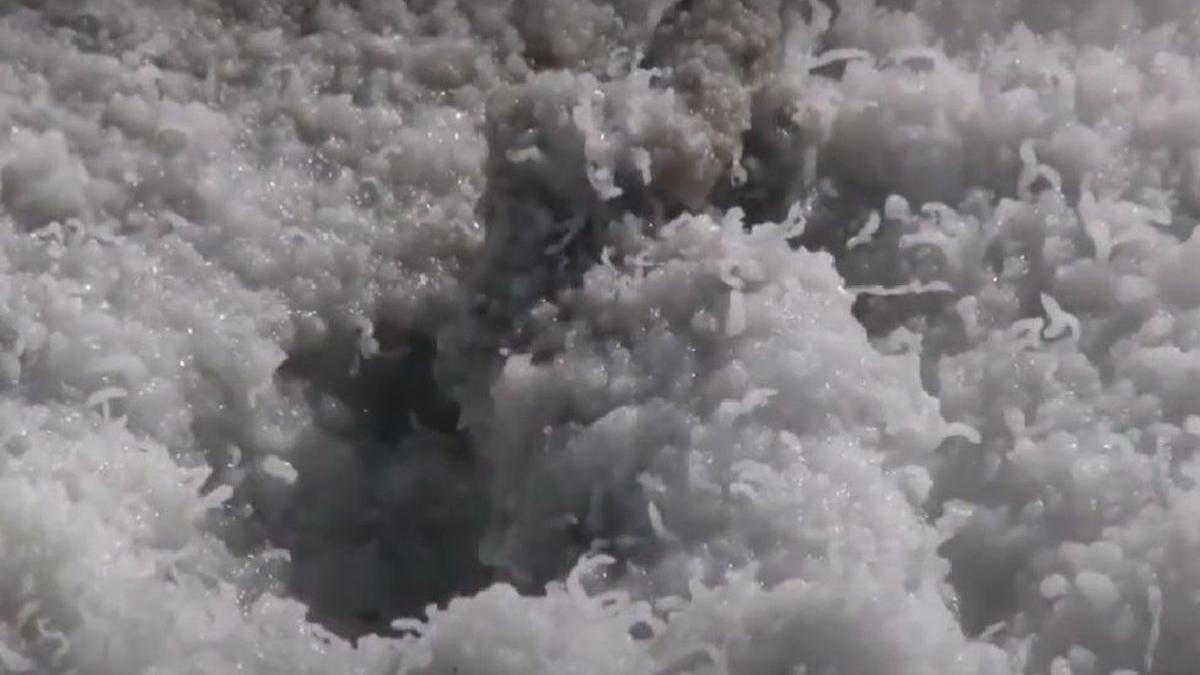 comuna din romania natura localniri cele mai bune muraturi