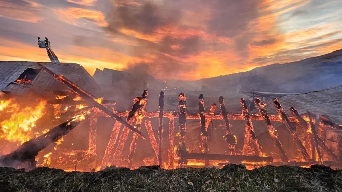 tribunal prahova amana judecata urmarire penala control isu ferma dacilor