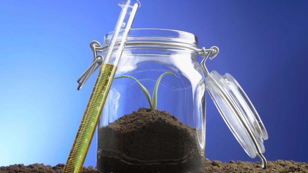 orasele biotehnologice din europa romania inteligenta