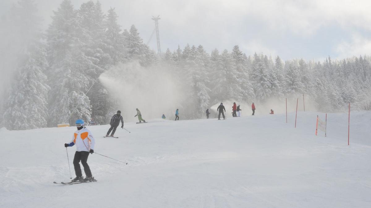 tabere munte iarna studenti ministerul familiei