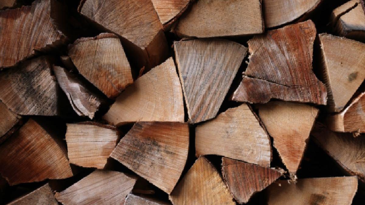 barbat batut hoti lemne comuna mehedinti