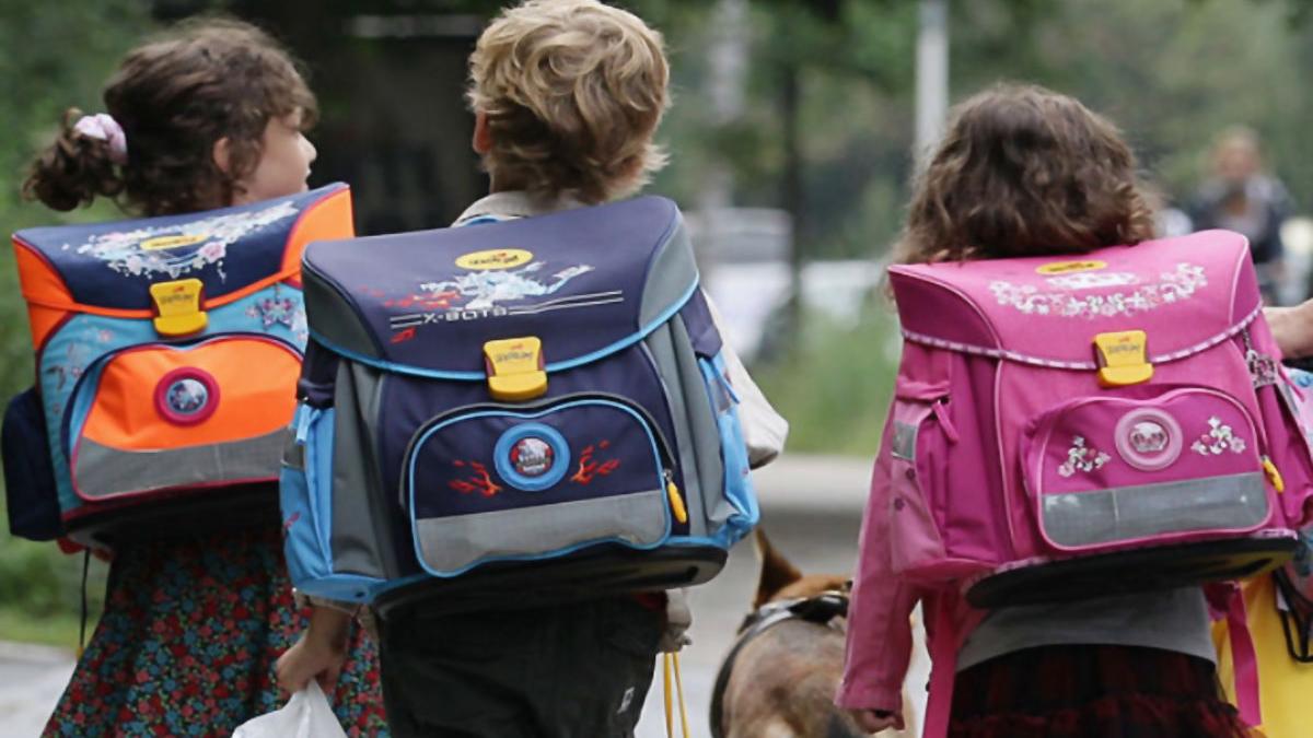 vacante elevi stes cheltuieli parinti bone