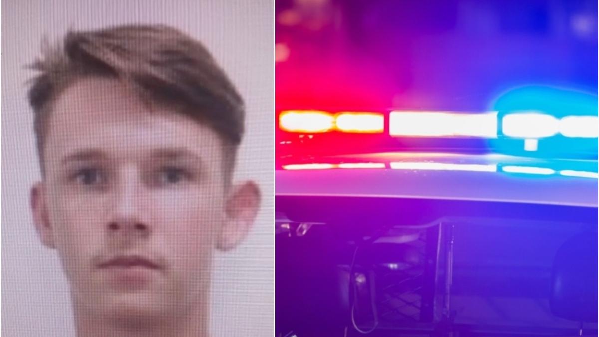 mihai catana centru social orastie disparut