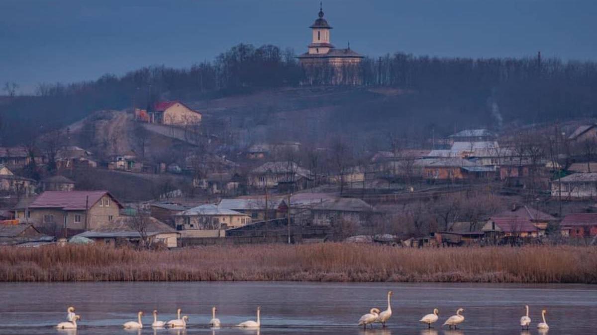 inundatie iaz sat costesti botosani