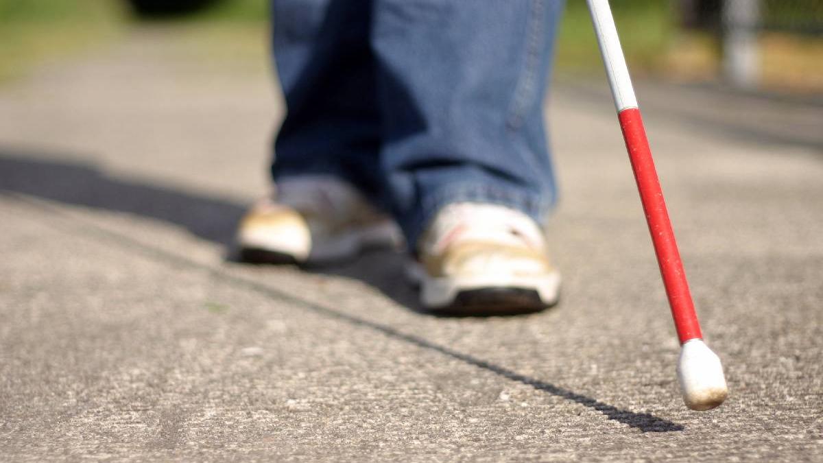 nevazatori permis conducere