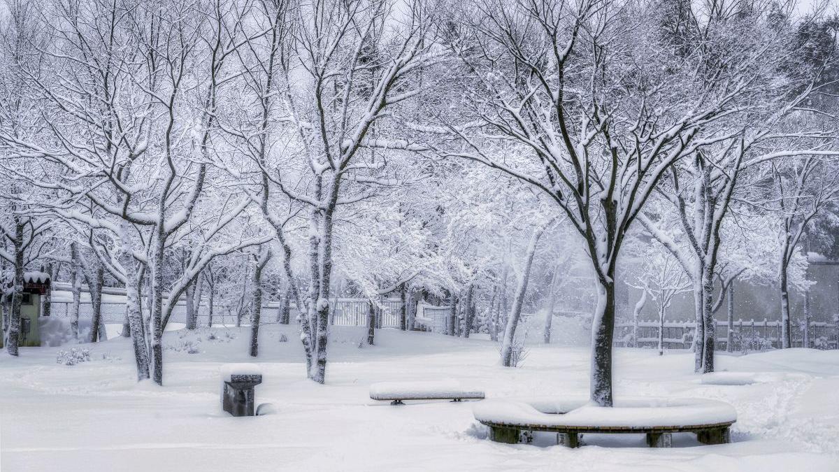 prognoza meteo 2 saptamani vremea