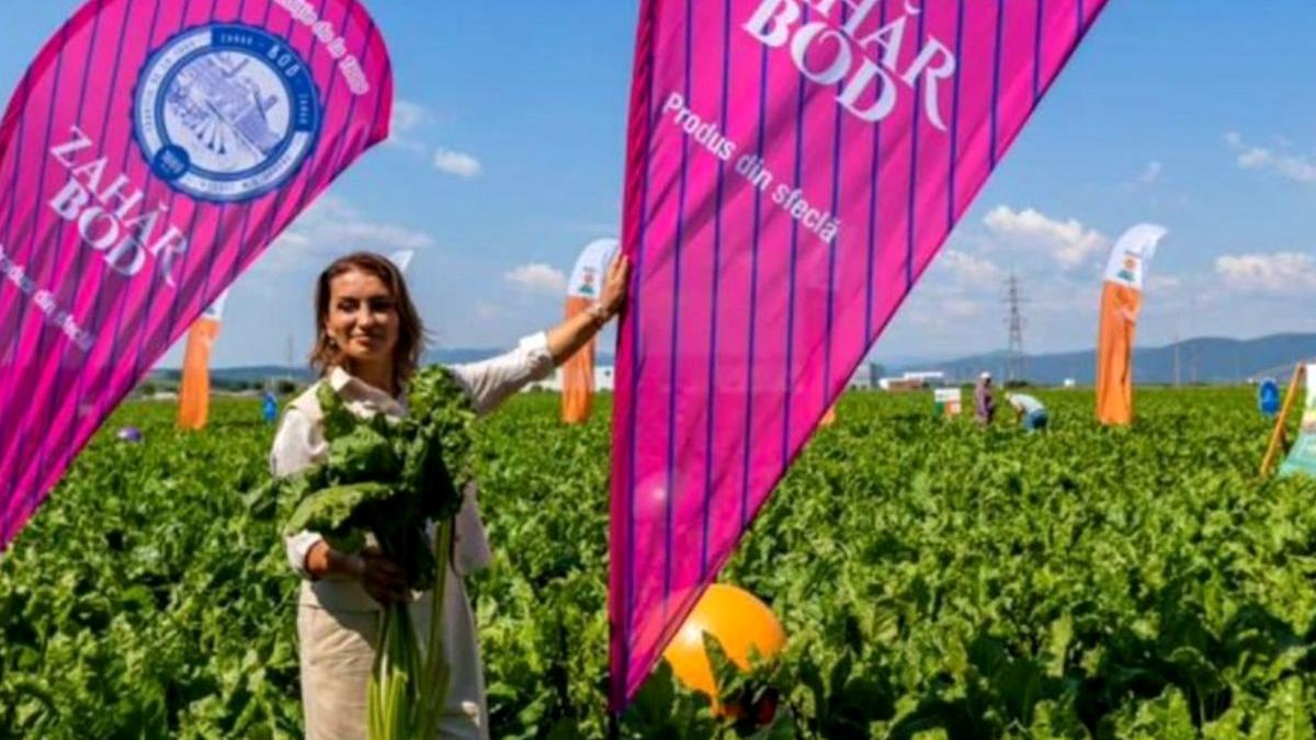 mihaela neagu actionar fabrici zahar bod ludus apel fermieri