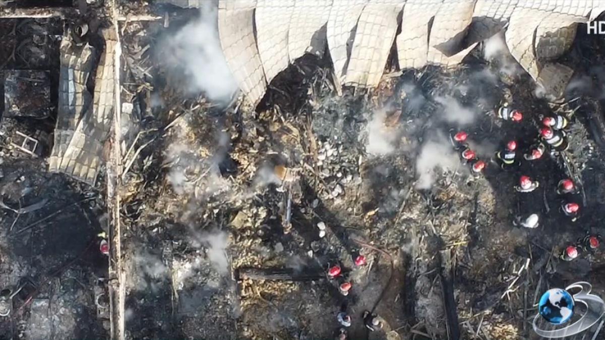 ramasitele copil mort ferma dacilor