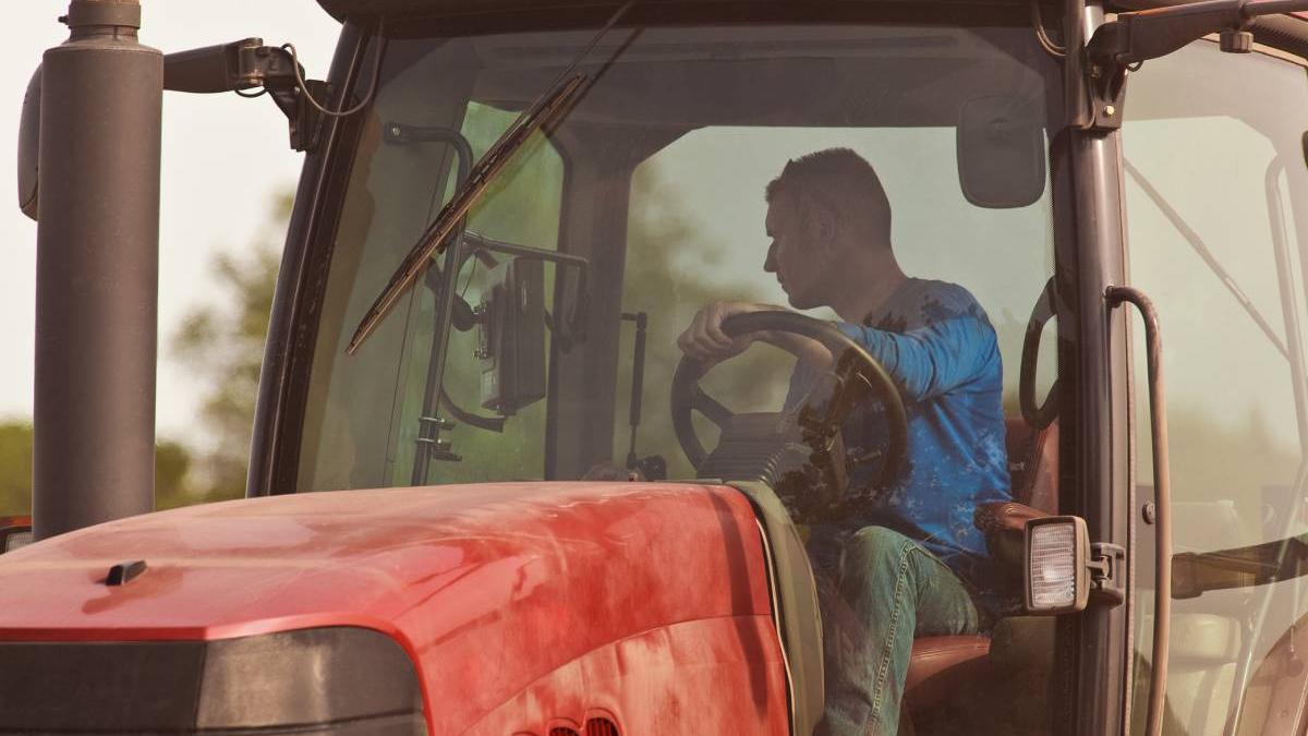 soferi romani permis conducere categoria b condus tractoare guvern