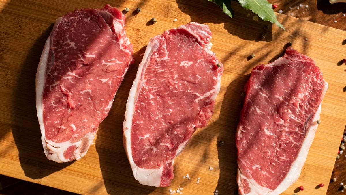carne falsa laborator consiliul europei