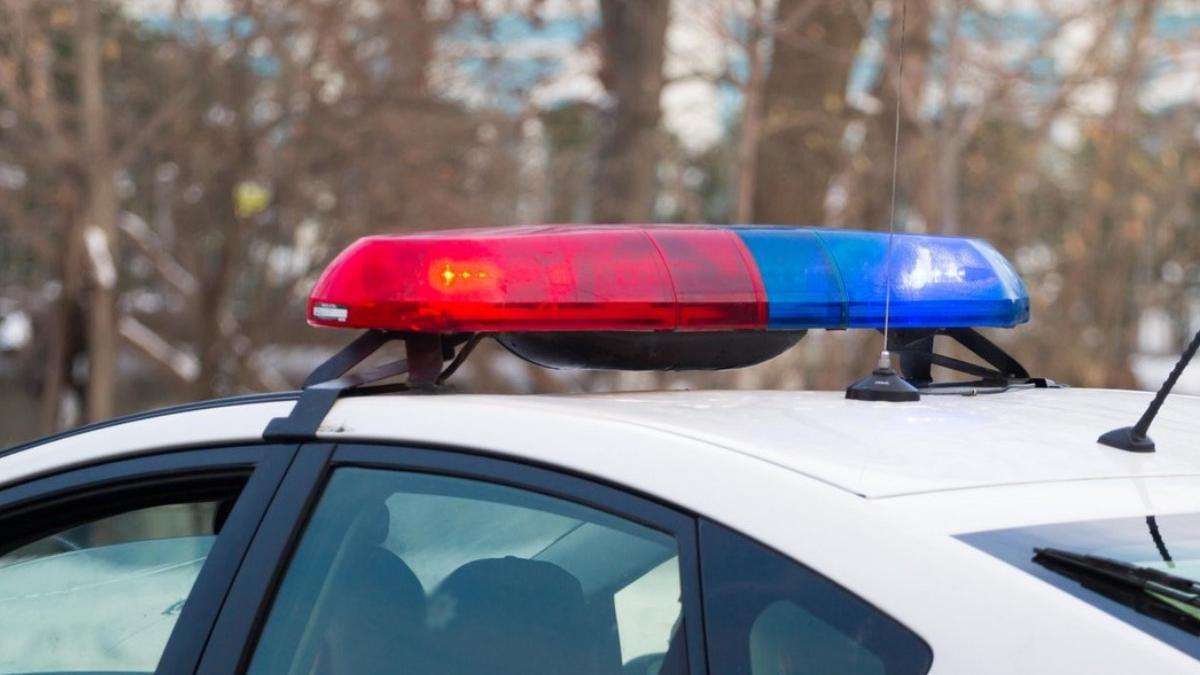 femeie gasita moarta lacul herastrau bucuresti