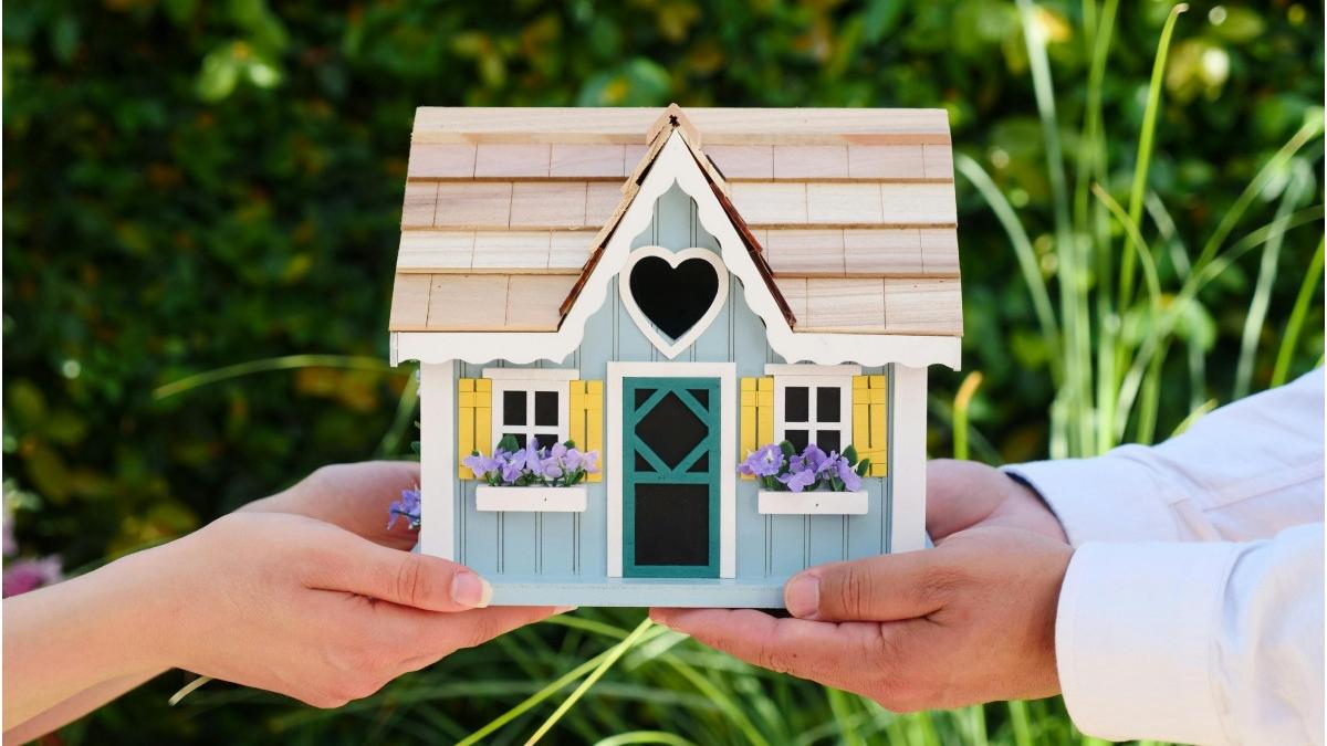 orasul unde se ofer teren pentru casa gratuit