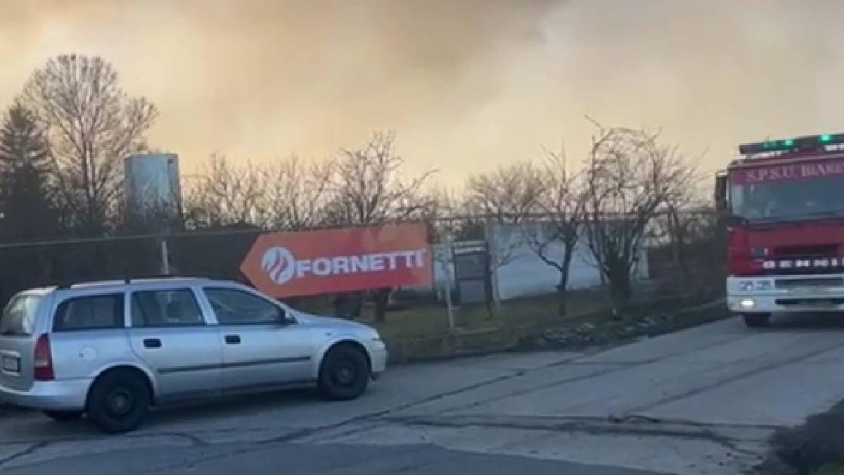 incendiu depozit fabrica patiserie fornetti timis
