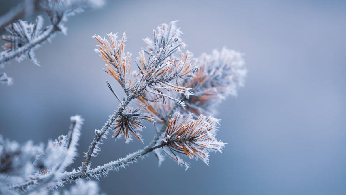 meteo ger romania 18 grade celsius