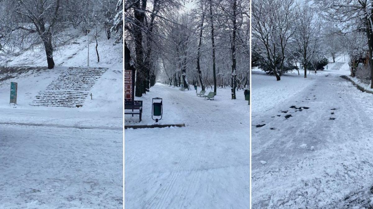 primaria municipiului bucuresti sanctionata contraventional politisti locali sectorul 4