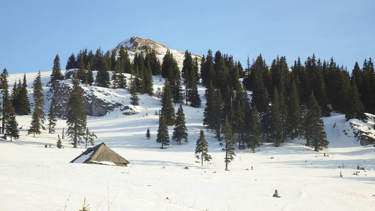 fata disparuta stana comarnic gasita